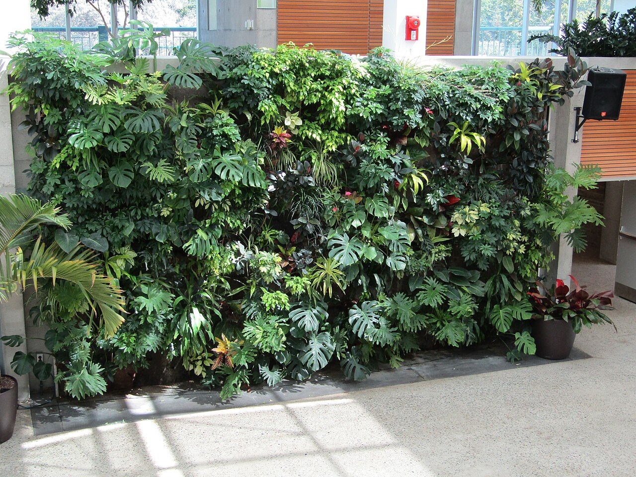 A wall of green plants in an indoor setting